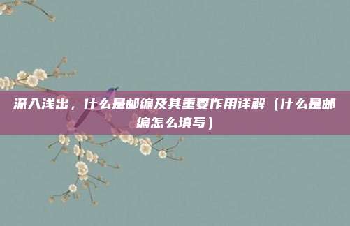 深入浅出,什么是邮编及其重要作用详解(什么是邮编怎么填写)