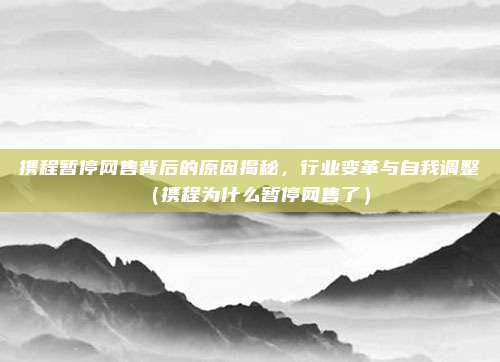 携程暂停网售背后的原因揭秘,行业变革与自我调整(携程为什么暂停网售了)