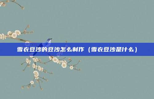 雪衣豆沙的豆沙怎么制作（雪衣豆沙是什么）