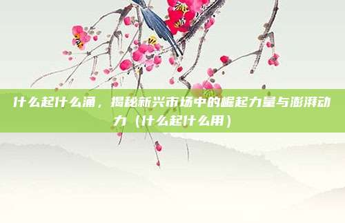什么起什么涌,揭秘新兴市场中的崛起力量与澎湃动力(什么起什么用)