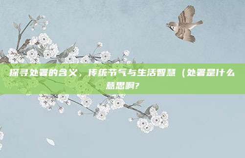 探寻处署的含义,传统节气与生活智慧(处署是什么意思啊?