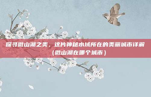 探寻微山湖之美,这片神秘水域所在的美丽城市详解(微山湖在哪个城市)