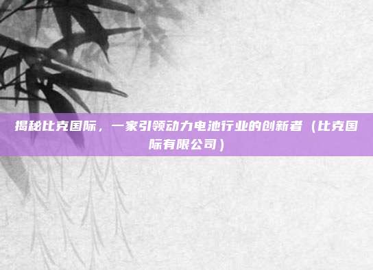 揭秘比克国际,一家引领动力电池行业的创新者(比克国际有限公司)