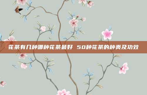 花茶有几种哪种花茶最好 50种花茶的种类及功效