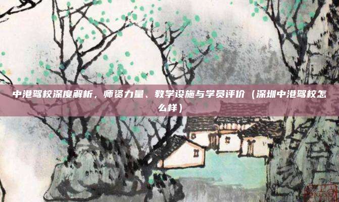 中港驾校深度解析,师资力量、教学设施与学员评价(深圳中港驾校怎么样)