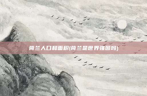 荷兰人口和面积(荷兰是世界强国吗)