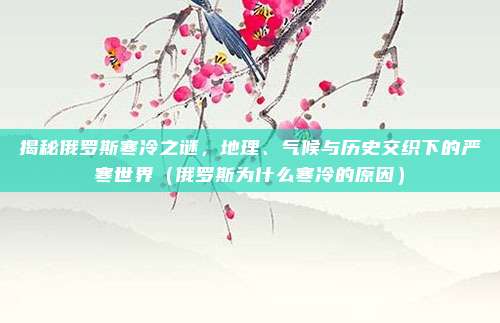 揭秘俄罗斯寒冷之谜,地理、气候与历史交织下的严寒世界(俄罗斯为什么寒冷的原因)