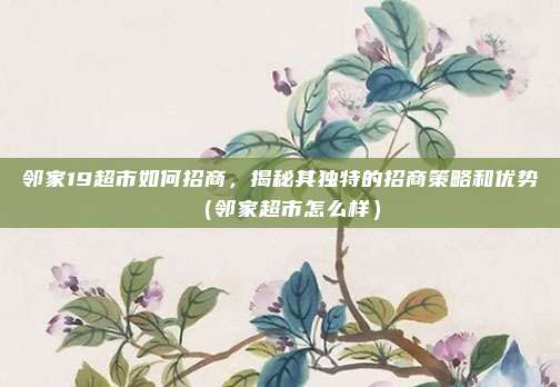 邻家19超市如何招商,揭秘其独特的招商策略和优势(邻家超市怎么样)