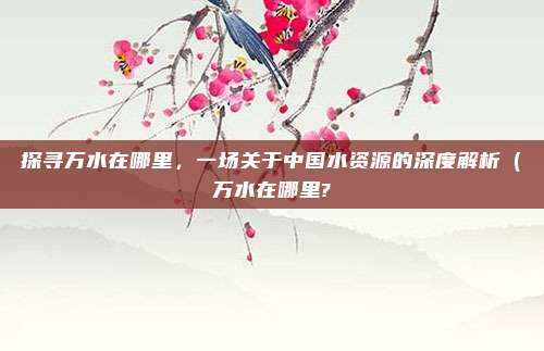 探寻万水在哪里,一场关于中国水资源的深度解析(万水在哪里?