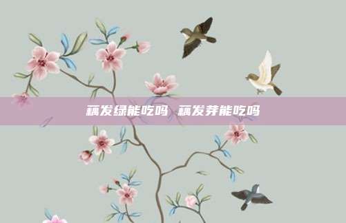 藕发绿能吃吗 藕发芽能吃吗
