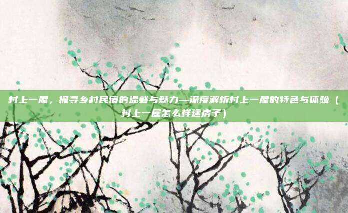 村上一屋,探寻乡村民宿的温馨与魅力—深度解析村上一屋的特色与体验(村上一屋怎么样建房子)