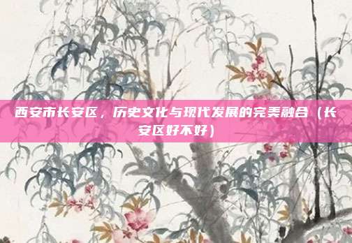 西安市长安区,历史文化与现代发展的完美融合(长安区好不好)