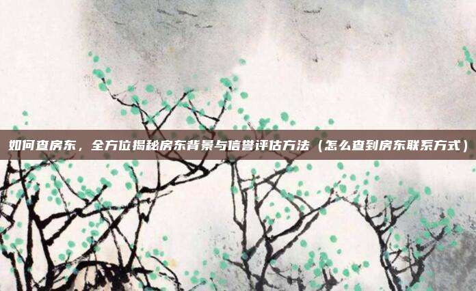 如何查房东,全方位揭秘房东背景与信誉评估方法(怎么查到房东联系方式)