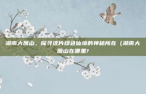 湖南大围山,探寻这片绿色仙境的神秘所在(湖南大围山在哪里?