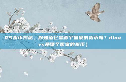 RS货币揭秘,你知道它是哪个国家的货币吗?dinars是哪个国家的货币)