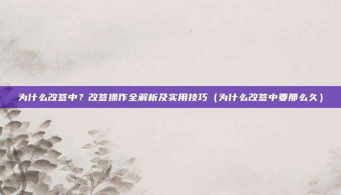 为什么改签中?改签操作全解析及实用技巧(为什么改签中要那么久)