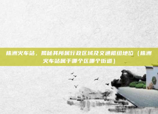 株洲火车站,揭秘其所属行政区域及交通枢纽地位(株洲火车站属于哪个区哪个街道)