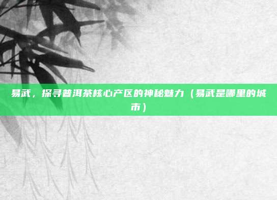 易武,探寻普洱茶核心产区的神秘魅力(易武是哪里的城市)