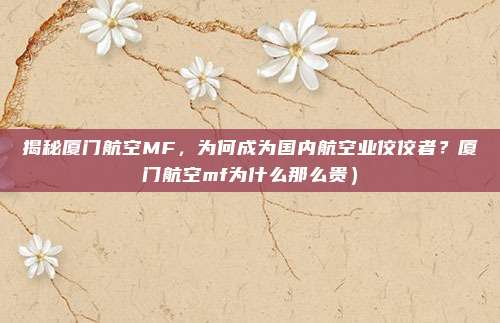 揭秘厦门航空MF,为何成为国内航空业佼佼者?厦门航空mf为什么那么贵)