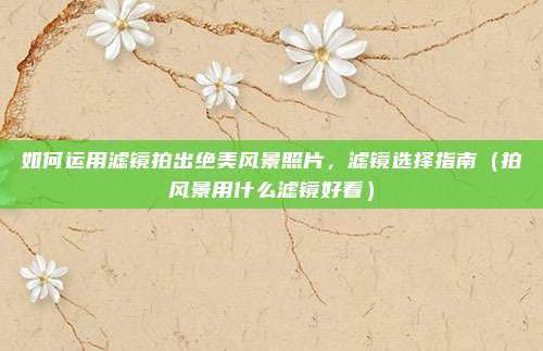 如何运用滤镜拍出绝美风景照片,滤镜选择指南(拍风景用什么滤镜好看)