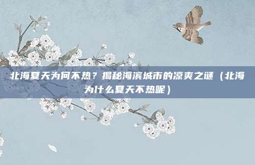 北海夏天为何不热?揭秘海滨城市的凉爽之谜(北海为什么夏天不热呢)