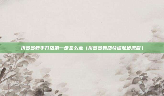 拼多多新手开店第一步怎么走（拼多多新店快速起步流程）