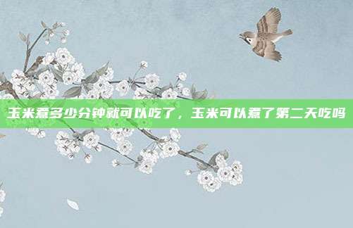 玉米煮多少分钟就可以吃了,玉米可以煮了第二天吃吗
