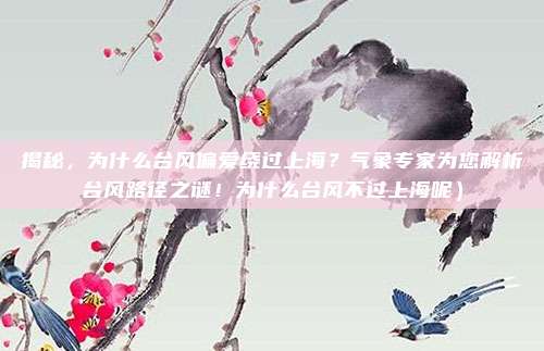揭秘,为什么台风偏爱绕过上海?气象专家为您解析台风路径之谜!为什么台风不过上海呢)