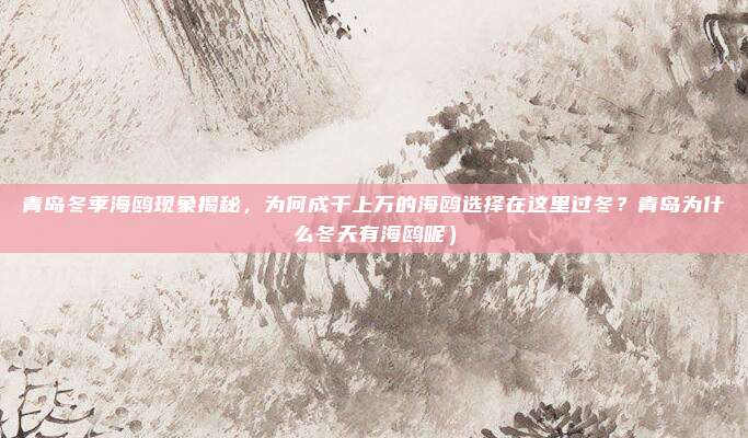 青岛冬季海鸥现象揭秘,为何成千上万的海鸥选择在这里过冬?青岛为什么冬天有海鸥呢)