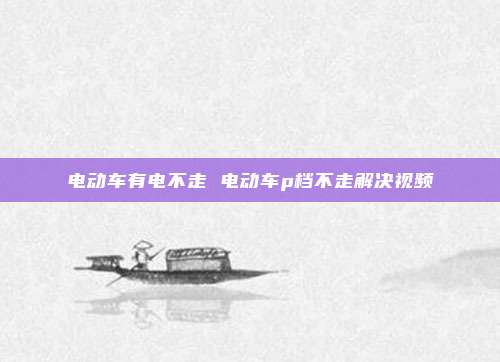 电动车有电不走 电动车p档不走解决视频
