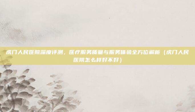虎门人民医院深度评测,医疗服务质量与服务体验全方位解析(虎门人民医院怎么样好不好)