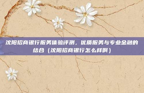 沈阳招商银行服务体验评测,优质服务与专业金融的结合(沈阳招商银行怎么样啊)
