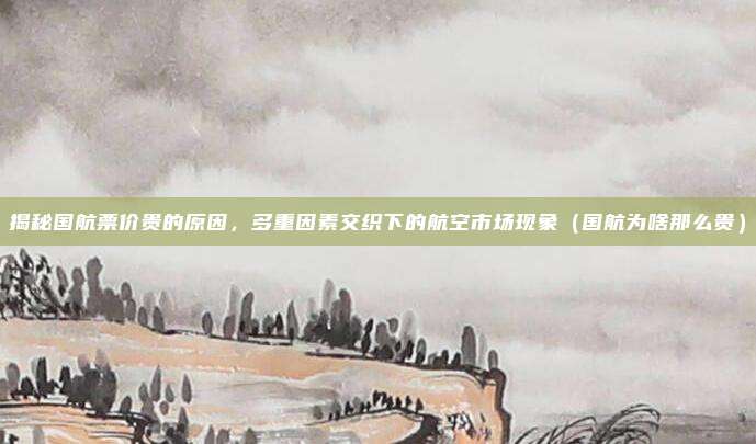 揭秘国航票价贵的原因,多重因素交织下的航空市场现象(国航为啥那么贵)
