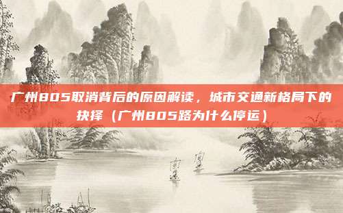 广州805取消背后的原因解读,城市交通新格局下的抉择(广州805路为什么停运)