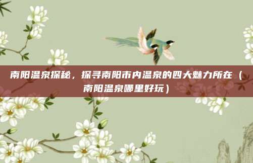 南阳温泉探秘,探寻南阳市内温泉的四大魅力所在(南阳温泉哪里好玩)