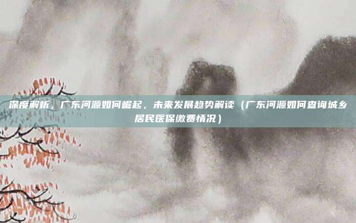 深度解析,广东河源如何崛起,未来发展趋势解读(广东河源如何查询城乡居民医保缴费情况)