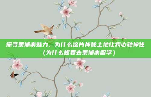 探寻柬埔寨魅力,为什么这片神秘土地让我心驰神往(为什么想要去柬埔寨留学)
