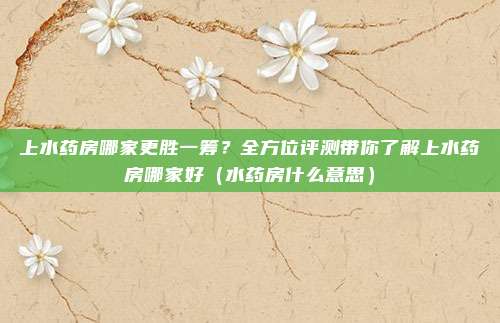 上水药房哪家更胜一筹?全方位评测带你了解上水药房哪家好(水药房什么意思)