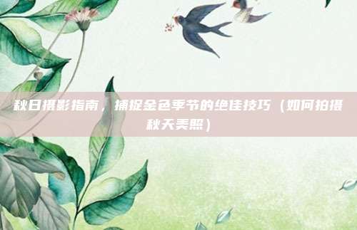 秋日摄影指南,捕捉金色季节的绝佳技巧(如何拍摄秋天美照)