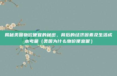 揭秘美国物价便宜的秘密,背后的经济因素及生活成本考量(美国为什么物价便宜呢)