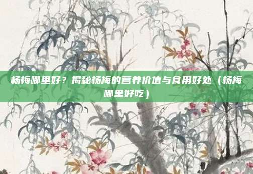 杨梅哪里好?揭秘杨梅的营养价值与食用好处(杨梅哪里好吃)
