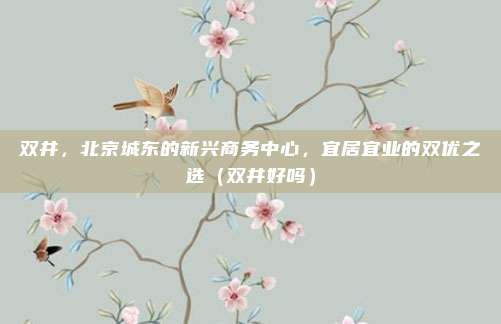 双井,北京城东的新兴商务中心,宜居宜业的双优之选(双井好吗)