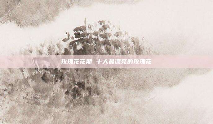 玫瑰花花期 十大最漂亮的玫瑰花