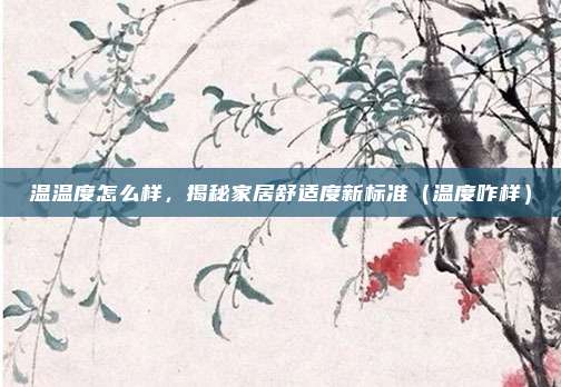 温温度怎么样,揭秘家居舒适度新标准(温度咋样)