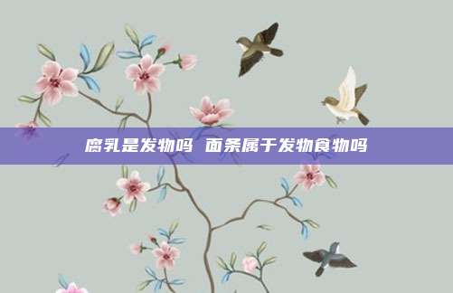 腐乳是发物吗 面条属于发物食物吗