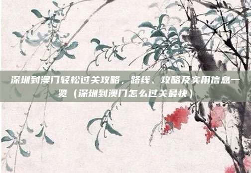 深圳到澳门轻松过关攻略,路线、攻略及实用信息一览(深圳到澳门怎么过关最快)