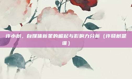许小树,自媒体新星的崛起与影响力分析(许晓树是谁)