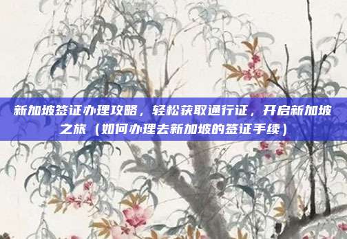 新加坡签证办理攻略,轻松获取通行证,开启新加坡之旅(如何办理去新加坡的签证手续)