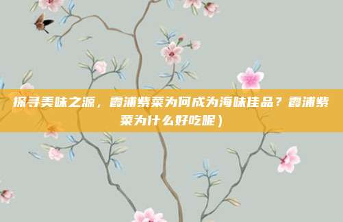 探寻美味之源,霞浦紫菜为何成为海味佳品?霞浦紫菜为什么好吃呢)