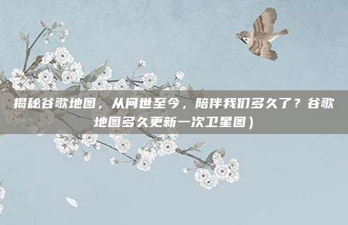揭秘谷歌地图,从问世至今,陪伴我们多久了?谷歌地图多久更新一次卫星图)